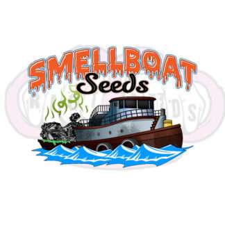 Smellboat Seeds