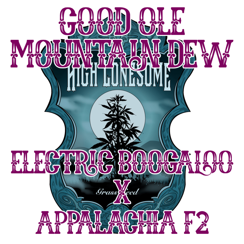 High N Lonesome Good Ole Mountain Dew (Dogshit / Electric Boogaloo x