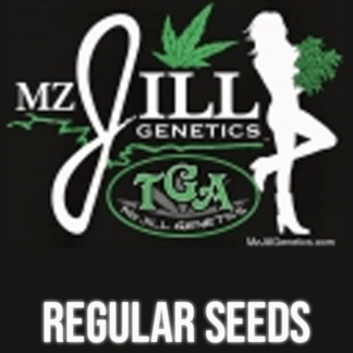 MzJill Genetics - REGULAR
