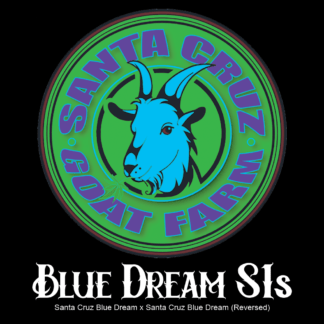 Blue Dream (SC Cut) S1s Feminized