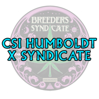 CSI Humboldt x Syndicate